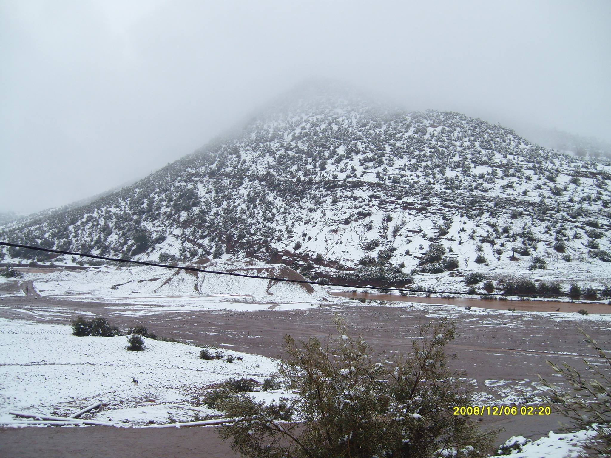 asso-alamal.jpg 